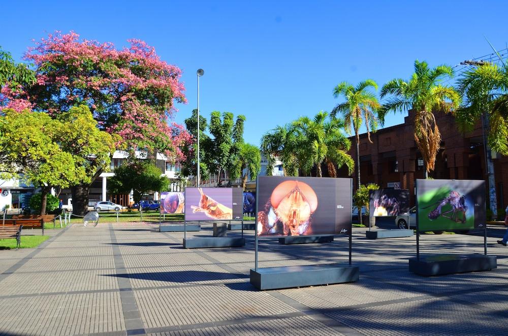 Senses Hotel Boutique Plaza Santa Cruz de La Sierra Exterior photo